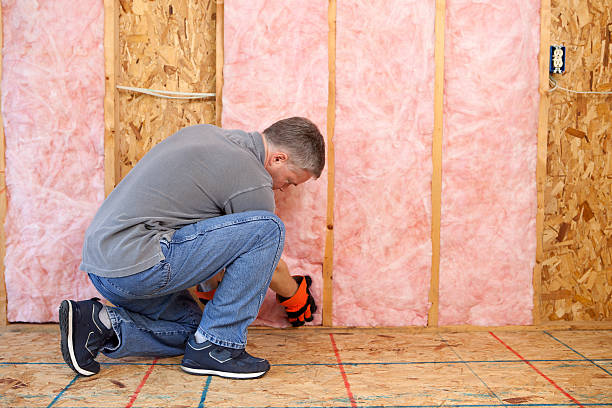 Best Batt and Roll Insulation  in Gibson City, IL